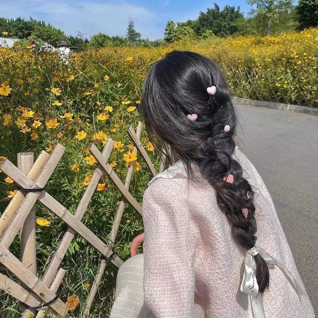 黉宫双燕